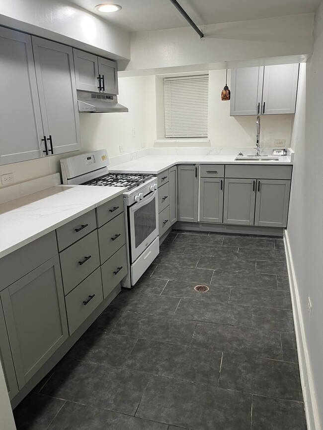 1922 S Springfield Ave in Chicago, IL - Building Photo - Building Photo