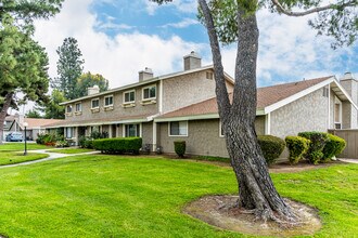 Vista Loma Village in Redlands, CA - Building Photo - Building Photo