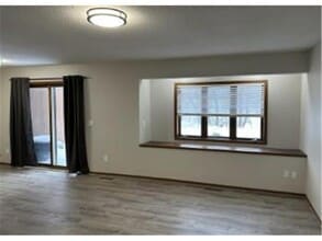 17553 Ionia Path in Lakeville, MN - Building Photo - Building Photo