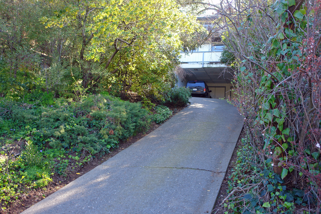 3 Roque Moraes Ct in Mill Valley, CA - Foto de edificio