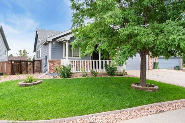 4202 Stringtown Dr in Loveland, CO - Building Photo - Building Photo