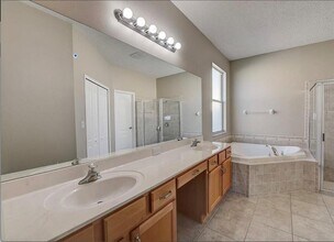 4739 Mapletree Loop in Wesley Chapel, FL - Building Photo - Building Photo