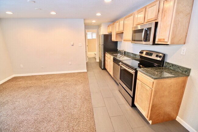 1431 N Pearl St in Denver, CO - Building Photo - Building Photo