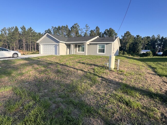 10 Malauka Pass Way in Ocklawaha, FL - Building Photo - Building Photo