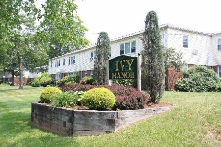 Ivy Manor Apartments in New Haven, CT - Building Photo