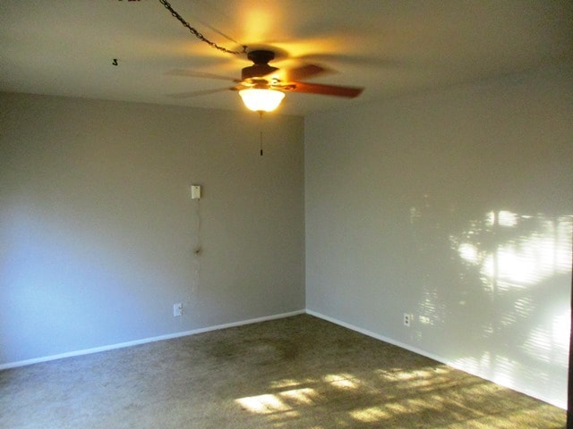 205 E Stewart Pl in Normal, IL - Building Photo - Building Photo