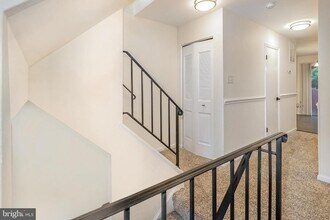 12313 Cinnamon St in Woodbridge, VA - Building Photo - Building Photo