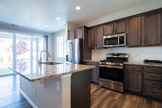 5314 Osbourne Dr in Windsor, CO - Building Photo - Building Photo