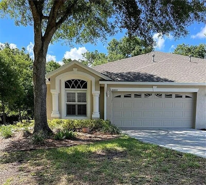 30803 Prout Ct in Wesley Chapel, FL - Building Photo