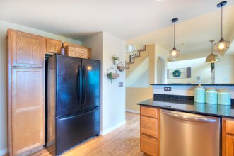287 Pyrite Terrace in Colorado Springs, CO - Building Photo - Building Photo