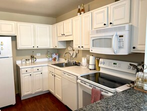 211 E Ohio St, Unit 1206 in Chicago, IL - Building Photo - Building Photo