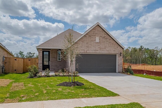18116 Trepito Ave in New Caney, TX - Building Photo - Building Photo