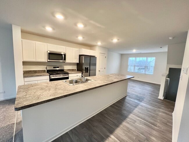 217 Goldenrod Dr in Elgin, IL - Building Photo - Building Photo