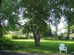 35 Catherine St in Lyons, NY - Foto de edificio - Other