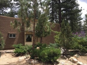 2037 Fox Ln in Big Bear, CA - Building Photo - Building Photo