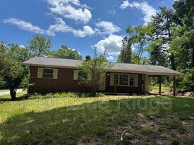 707 Rhodes Park Dr in Hendersonville, NC - Building Photo