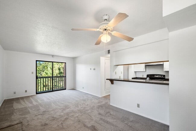 property at 941 Calle Mejia
