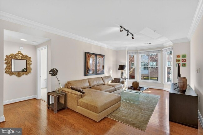 1115 Cameron St, Unit 211 in Alexandria, VA - Building Photo - Building Photo