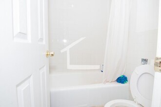 51 Westland Ave in Boston, MA - Building Photo - Building Photo