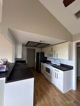 1013 Chestnut St in San Marcos, TX - Building Photo - Building Photo