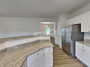 3059 Romain Trail in Spring Hill, TN - Building Photo - Building Photo