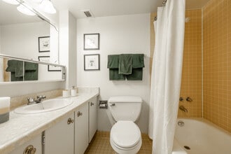 Interior Photo