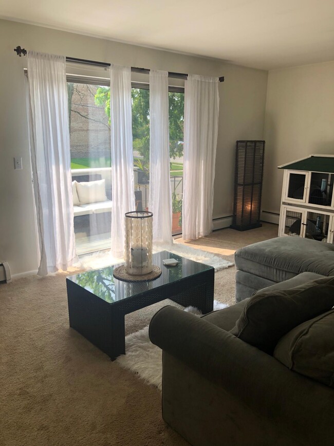 229 Collingwood Dr, Unit 4 in Ann Arbor, MI - Building Photo - Building Photo