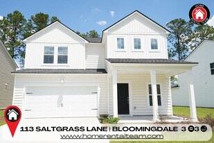 113 Saltgrass Ln