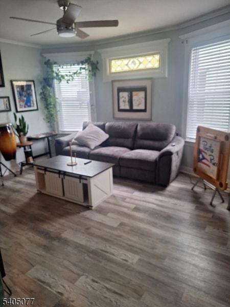 176 Springdale Ave in East Orange, NJ - Building Photo - Building Photo