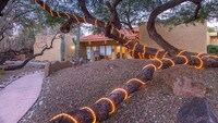 Building Photo - Rio Vista Apartment Homes in Tucson, Arizona