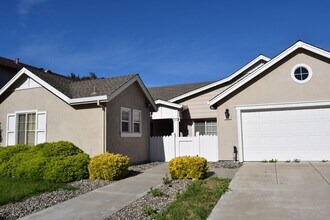 1667 Green Springs Ct in Tracy, CA - Building Photo - Building Photo
