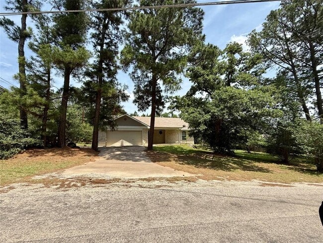 181 Mamalu Dr in Bastrop, TX - Building Photo - Building Photo