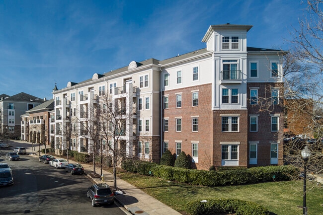 The Grove At Arlington