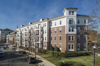 The Grove At Arlington in Arlington, VA - Building Photo - Primary Photo