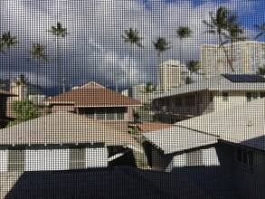 436 Pa?u St-Unit -5 in Honolulu, HI - Building Photo - Building Photo