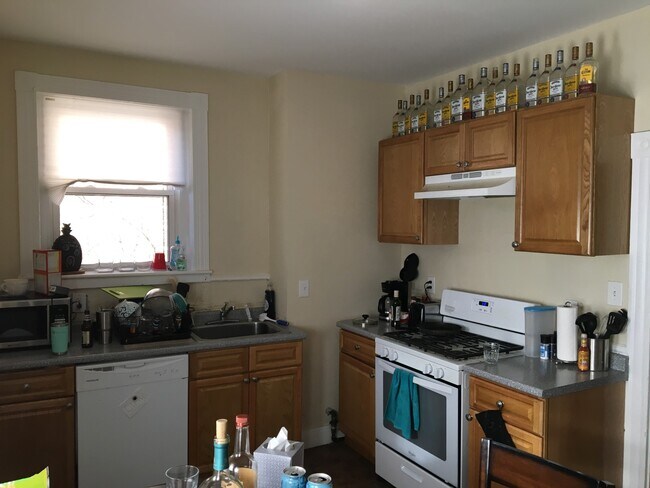 69 S Huntington Ave, Unit 1 in Boston, MA - Building Photo - Building Photo