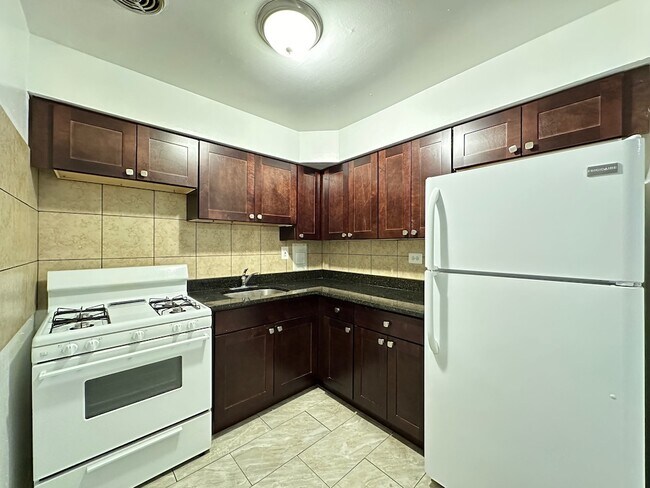 1515 W Morse Ave in Chicago, IL - Building Photo - Building Photo