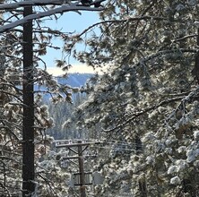 12098 Sierra Dr E in Truckee, CA - Foto de edificio - Building Photo