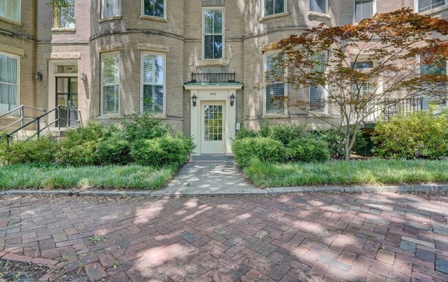 342 W Freemason St in Norfolk, VA - Building Photo - Building Photo