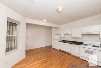 1022 N Damen Ave in Chicago, IL - Building Photo - Building Photo