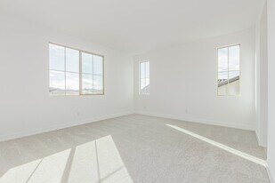 713 W Longwood Dr in Queen Creek, AZ - Building Photo