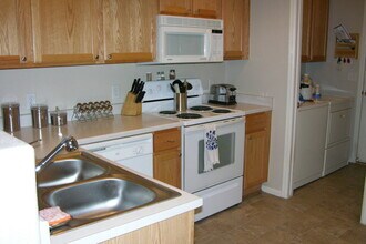 1905 Dove Creek Cir in Loveland, CO - Building Photo - Building Photo