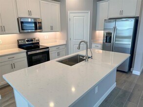 17216 Mango Shay Ct in Land O Lakes, FL - Building Photo - Building Photo