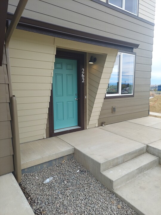 262 Shoveler Wy in Johnstown, CO - Building Photo