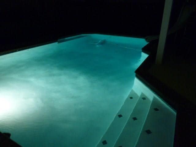 237 Bricknell Ln in Coppell, TX - Building Photo - Building Photo