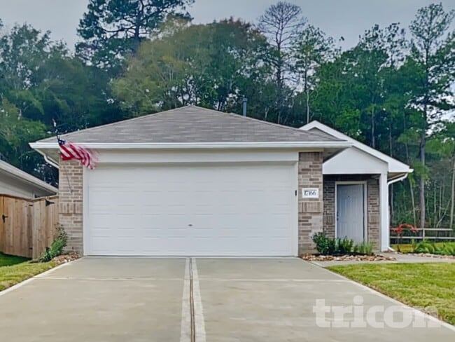 17166 Quaking Aspen Ln in New Caney, TX - Foto de edificio - Building Photo
