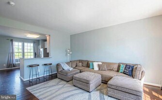 41900 Restful Terrace in Aldie, VA - Building Photo