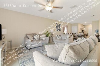 5256 White Chicory Dr in Apollo Beach, FL - Building Photo - Building Photo