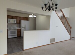 119 Thistle Ct in Schaumburg, IL - Building Photo - Building Photo