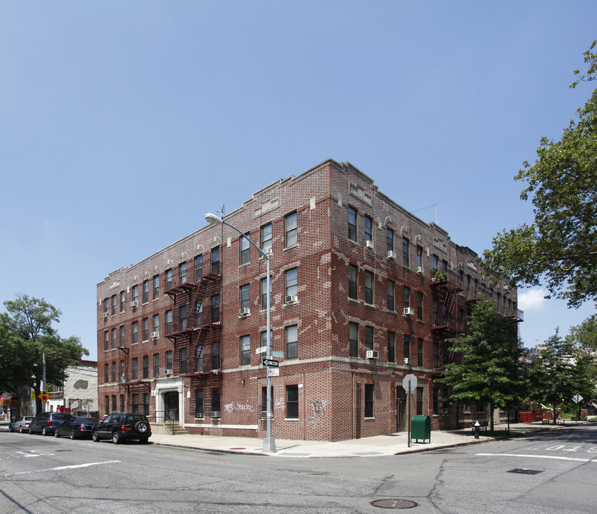 218 Grafton St in Brooklyn, NY - Building Photo